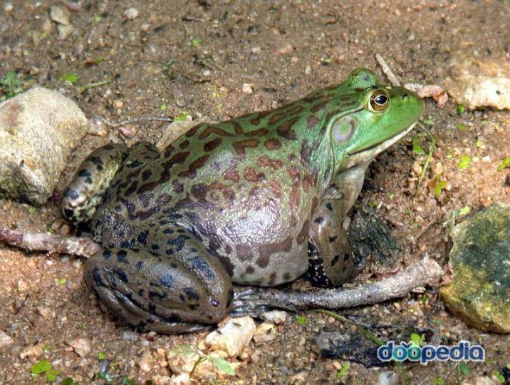 키스 1초당 100원줌 한다 vs 그냥 안함 .jpg | 인스티즈