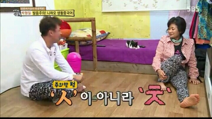 내가 이러려고 고양이됐나? | 인스티즈