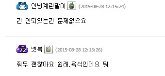 고양이한테 소고기 줘도 되나요??? | 인스티즈