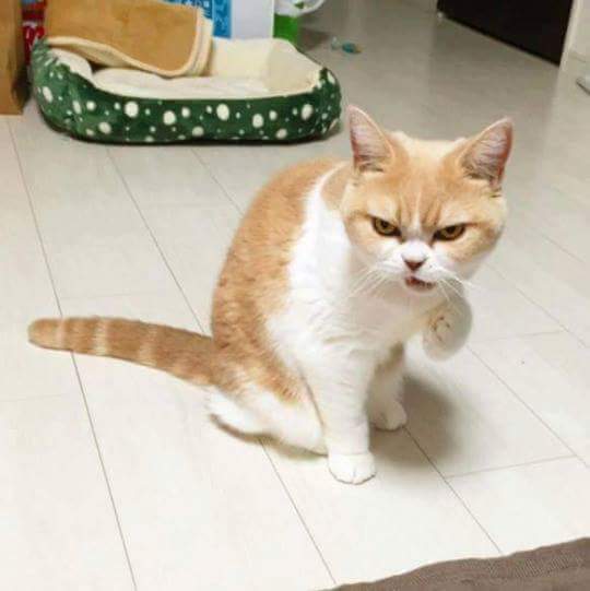 여자들 배고플 때 표정.JPG | 인스티즈