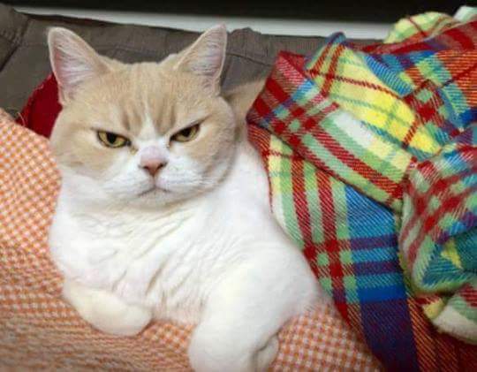 여자들 배고플 때 표정.JPG | 인스티즈