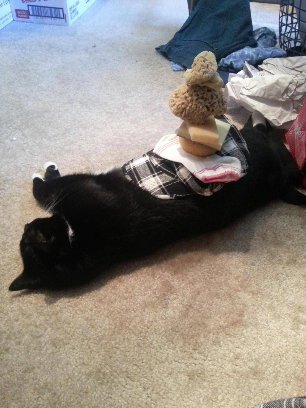 보자보자하니 노예ㅅㅂ럼아.jpg | 인스티즈