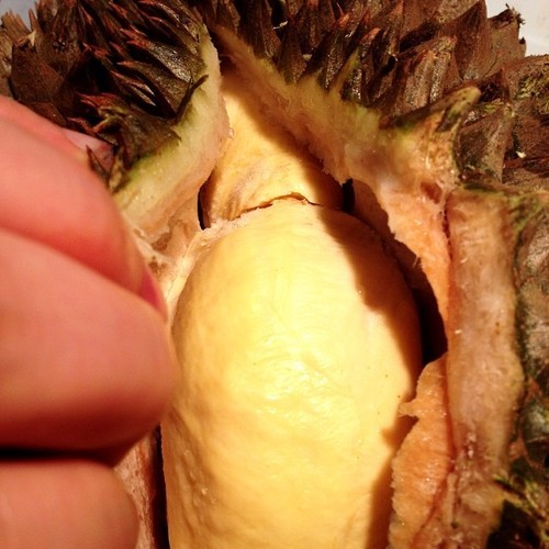  과일의 왕이라고 불리는 과일.jpg | 인스티즈