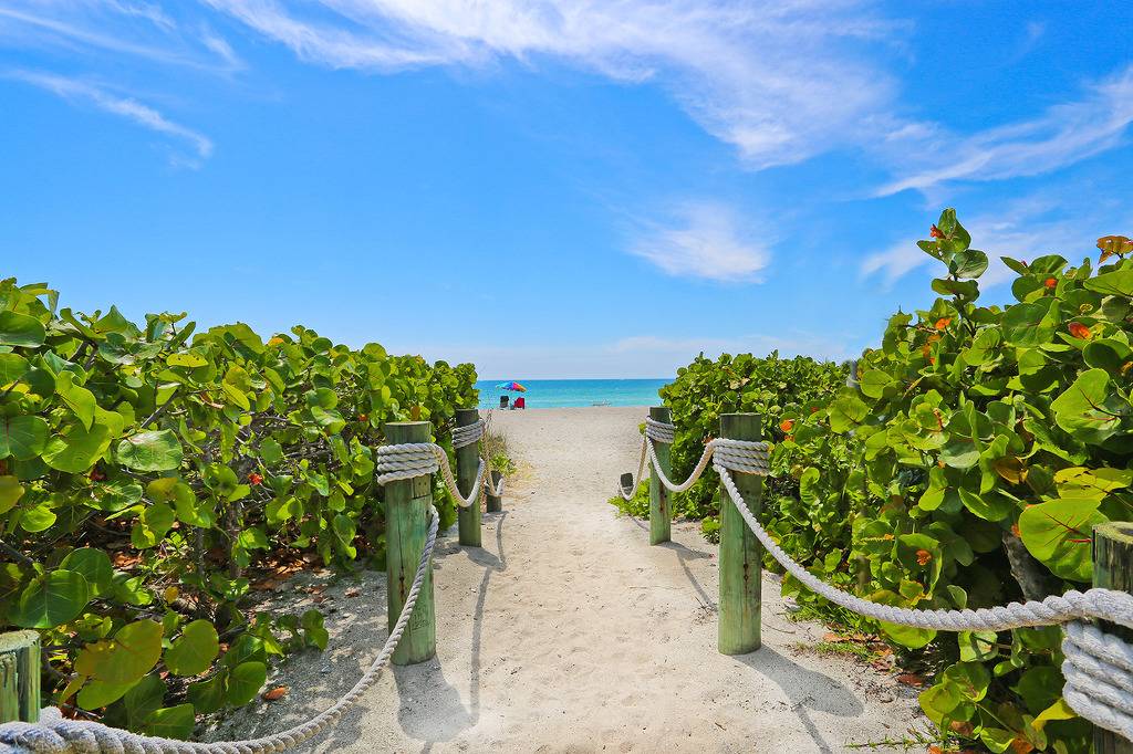 플로리다 분위기.jpg | 인스티즈