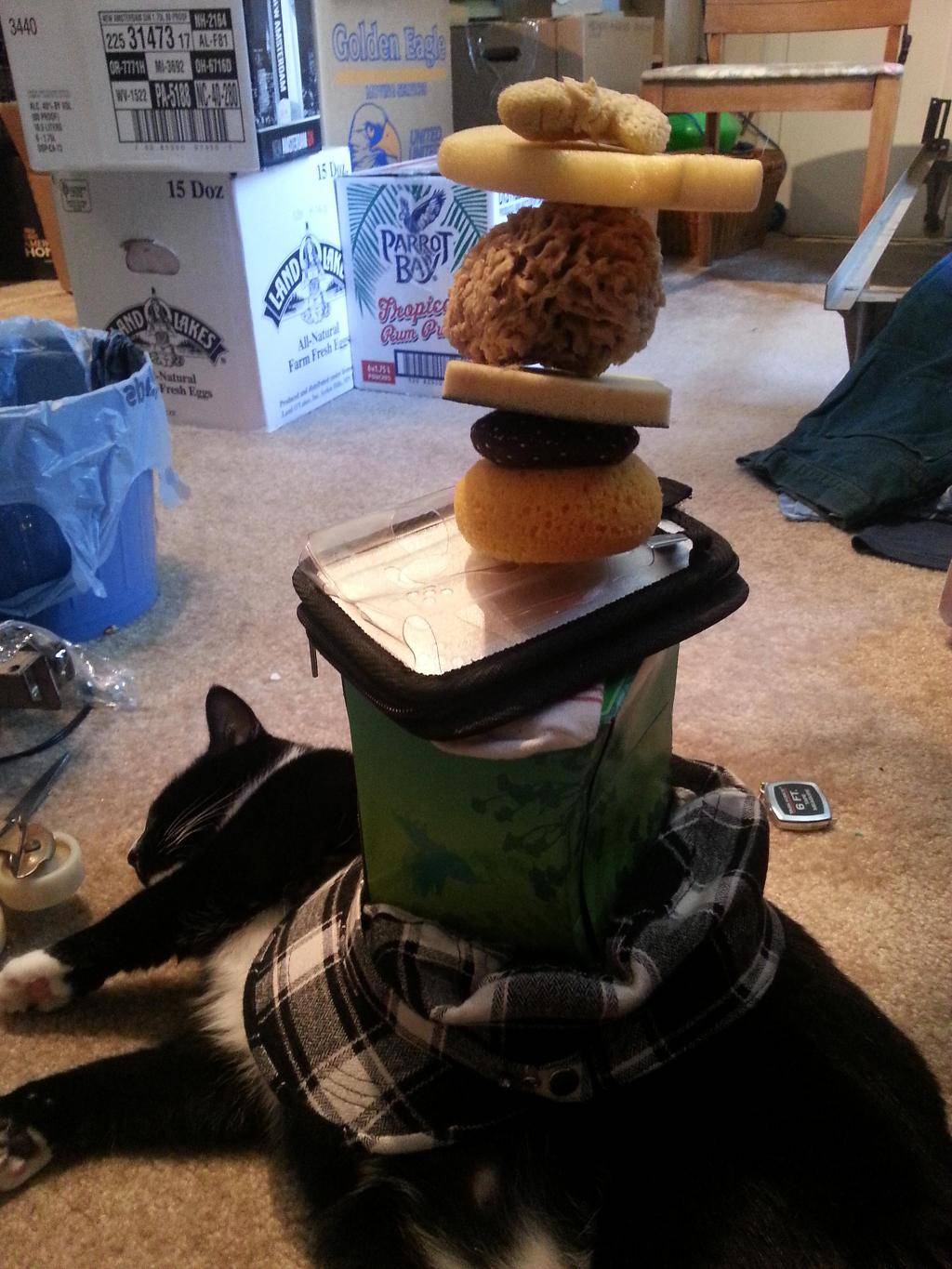 보자보자하니 노예ㅅㅂ럼아.jpg | 인스티즈