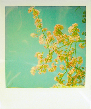 너를 사랑하는 일이 나를 무너지게 할거라는 걸 | 인스티즈