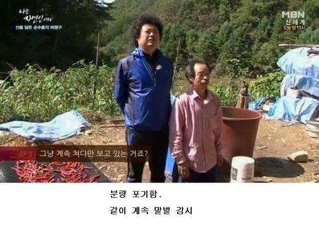 말벌잡는아저씨ㅋㅋㅋㅋㅋㅋㅋㅋ | 인스티즈