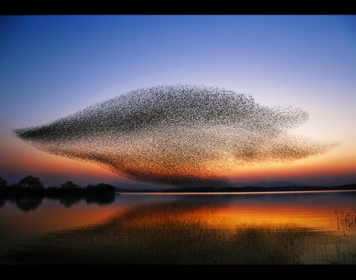 제45회 대한민국 관광사진 공모전 수상작들 | 인스티즈