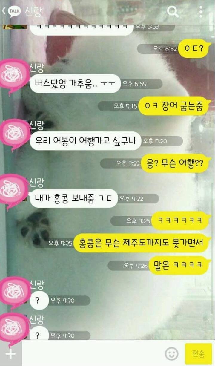 제주도도 못 가는 신랑 | 인스티즈