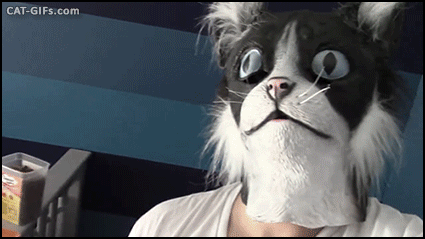 [움짤] 고양이 가면 | 인스티즈