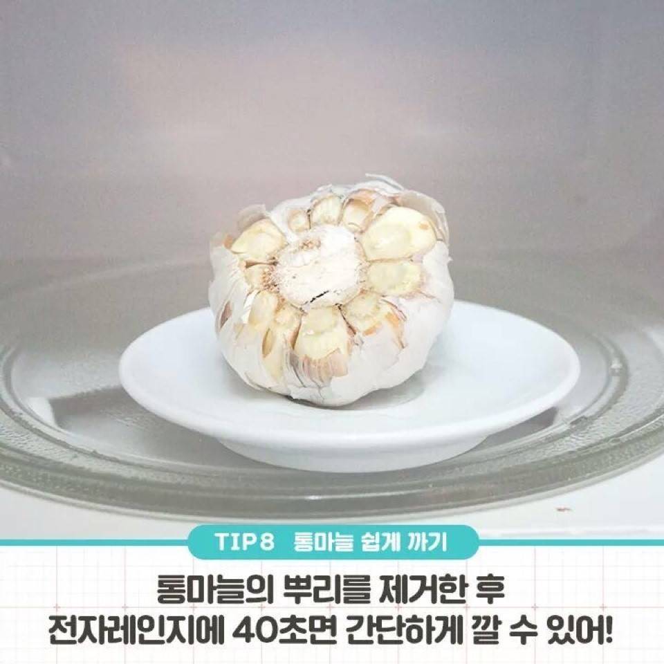 이제는 다 아는 전자렌지 사용법 | 인스티즈