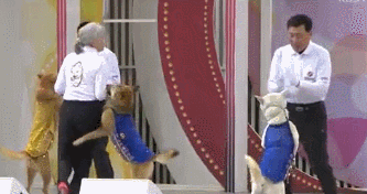 전국노래자랑 진도편 개레전드 | 인스티즈