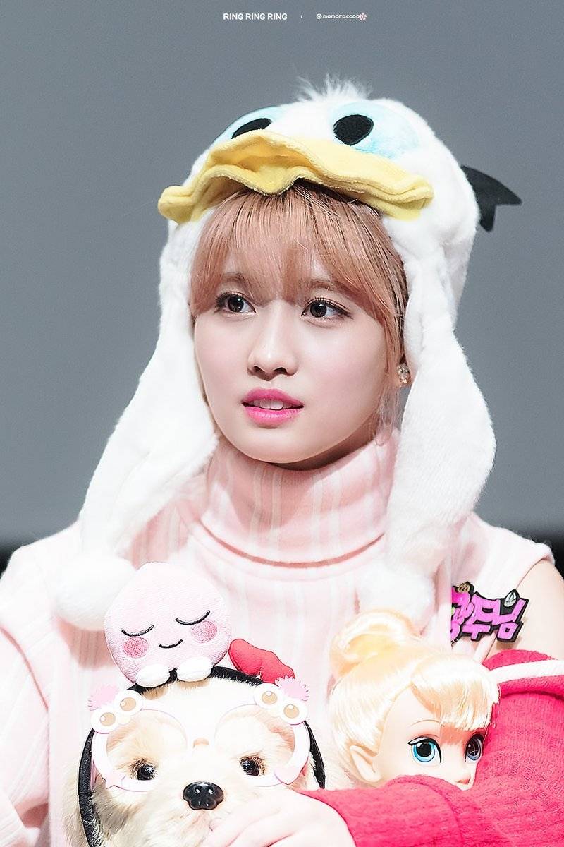 나연 모모 | 인스티즈