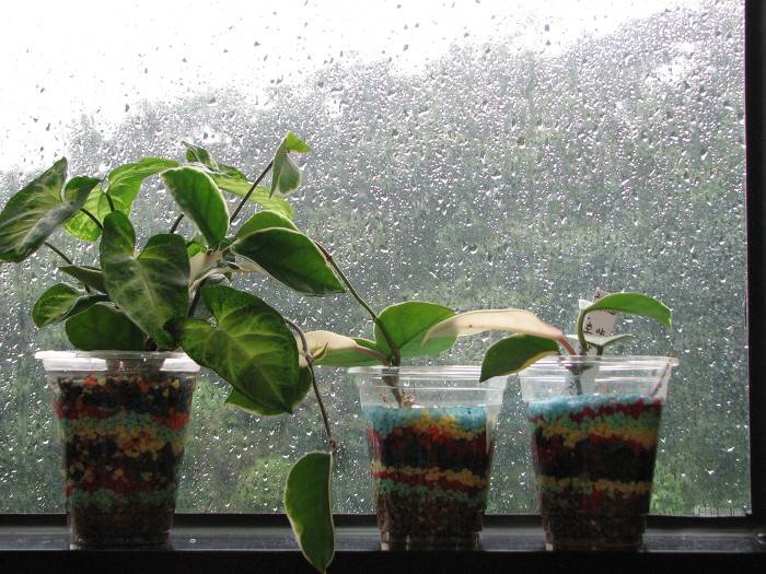 좋아하는 사람들은 정말 좋아하는 비오는날 분위기 | 인스티즈