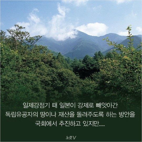 독립운동 하면 4대가 망한다 | 인스티즈