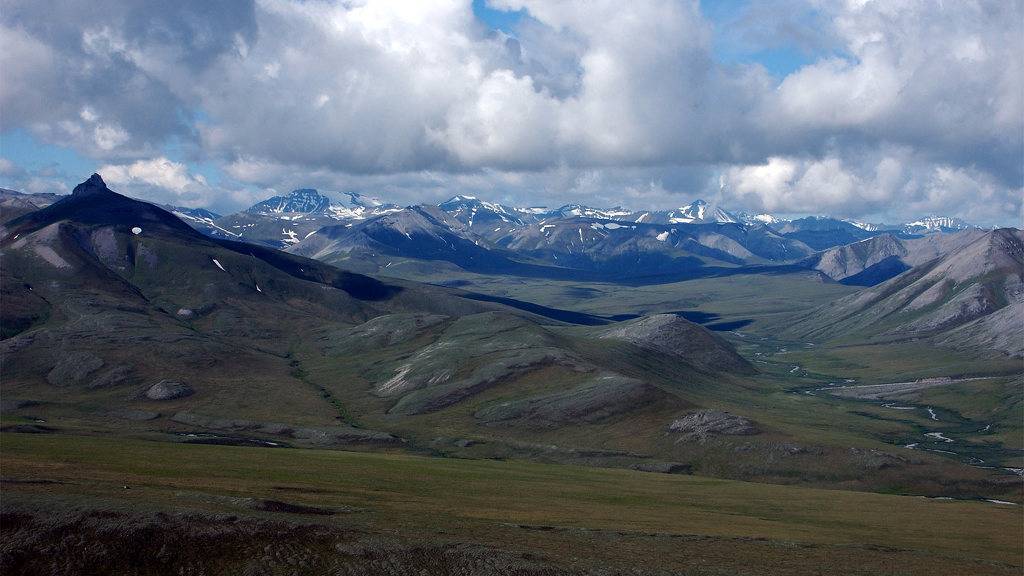 세계에서 가장 모기가 많은 지역 | 인스티즈
