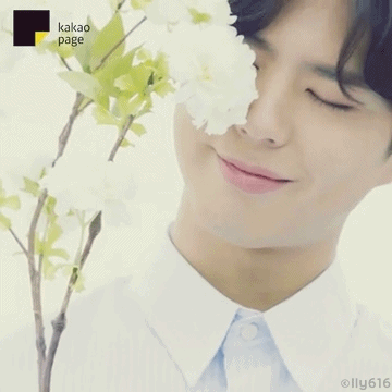 스윗보검vs박력보검 | 인스티즈