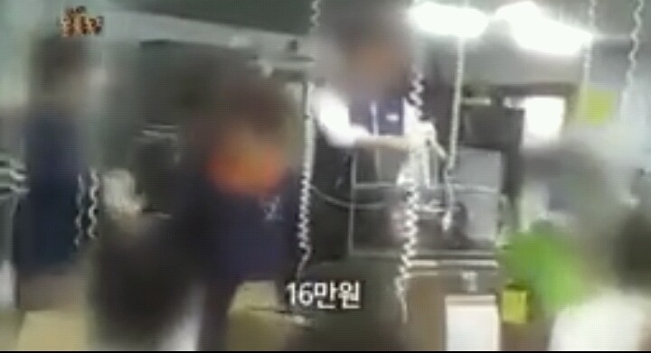 충격적인 강아지 공장 실태(서명운동) | 인스티즈