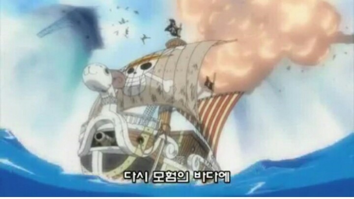 한때 밀집모자 해적단의 동료.... | 인스티즈