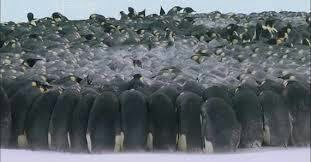 남극의 눈물.. | 인스티즈