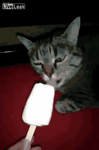 급하게 아이스크림 먹다가 머리아픔.gif | 인스티즈