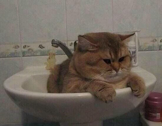 씻기시져.jpg | 인스티즈