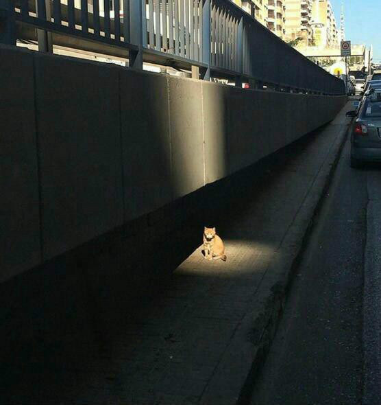 아직 캐릭을 하나밖에 고를수가 없다 | 인스티즈