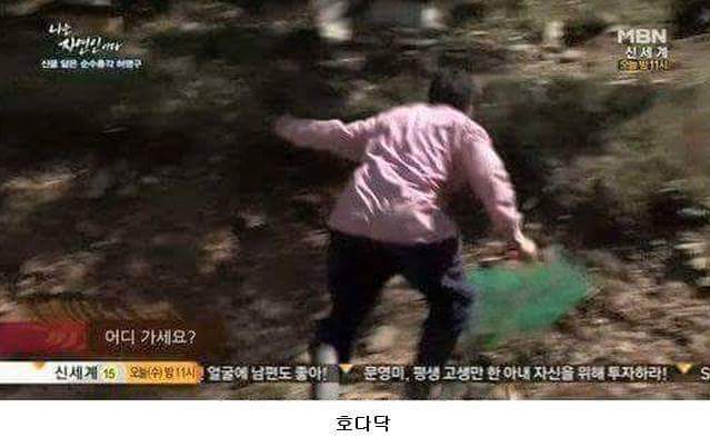 말벌잡는아저씨ㅋㅋㅋㅋㅋㅋㅋㅋ | 인스티즈