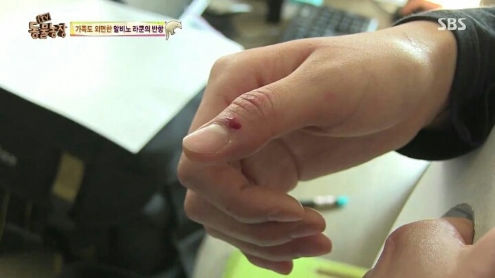 힘들어하는 여성 동물 사육사..jpg | 인스티즈