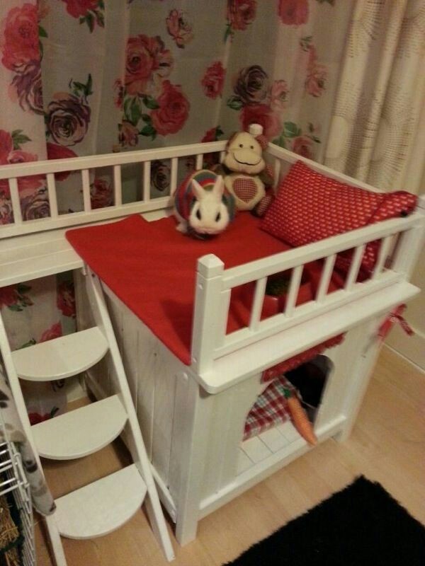 예쁜 토끼장과 토끼용품들 | 인스티즈