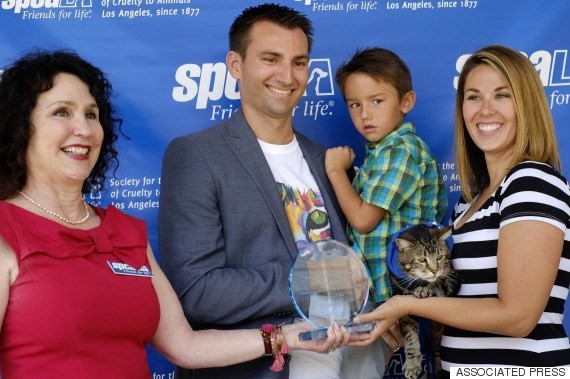 멋있는 고양이 | 인스티즈