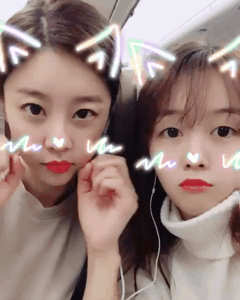 샤샤샤 모르는 이모.gif | 인스티즈