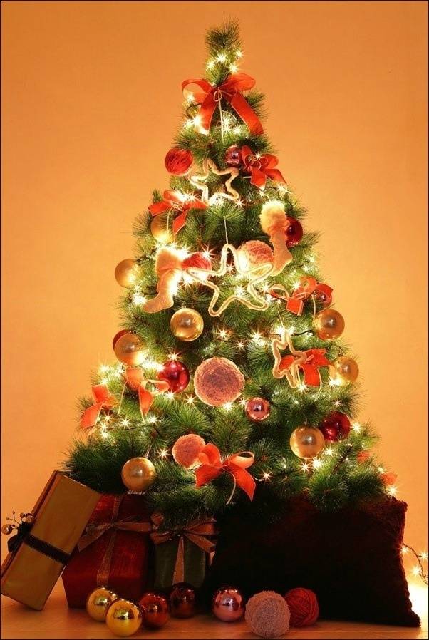 여러분들은 준비하고 계신가요? | 인스티즈