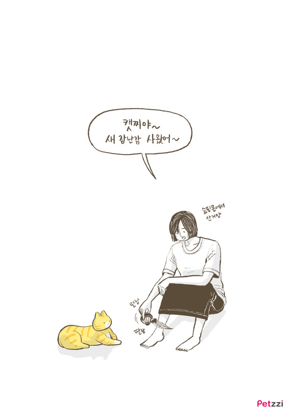 고양이 키우다 보면 느끼는 고양이의 소소한 취향.jpg | 인스티즈