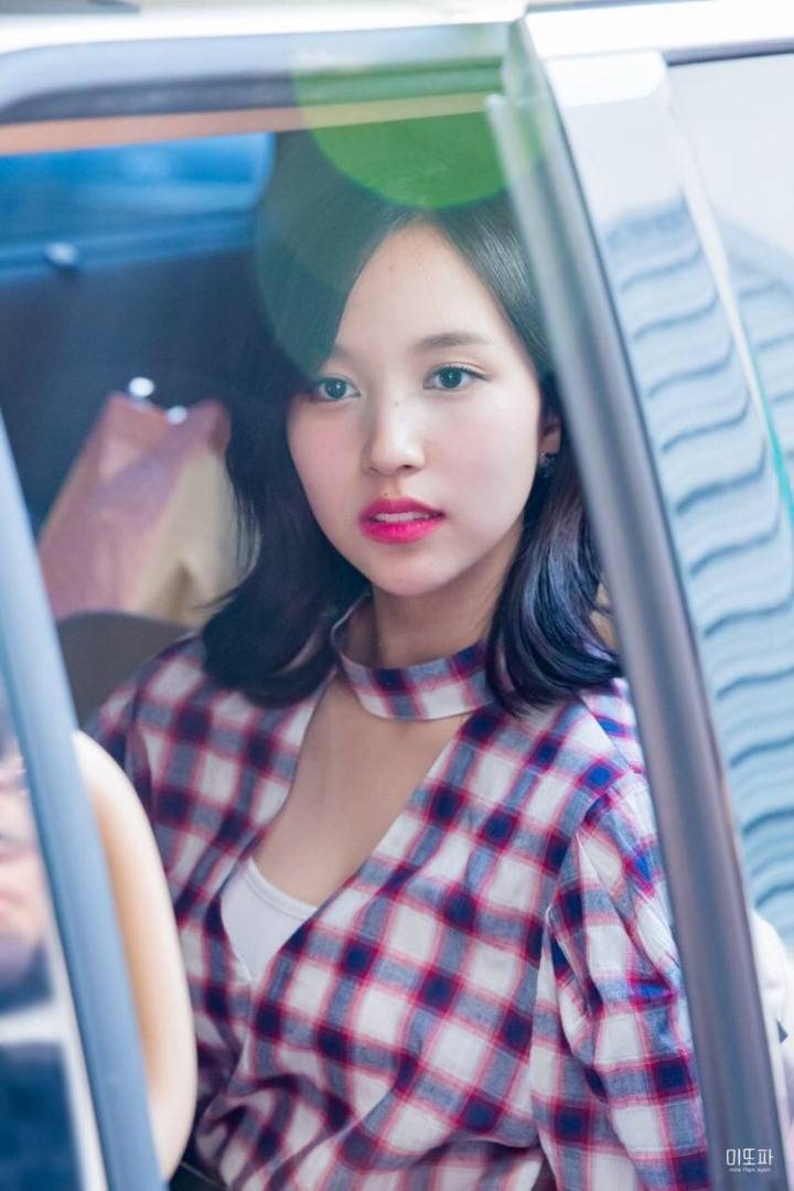 문재인 대통령 당선 기념 미나리 | 인스티즈