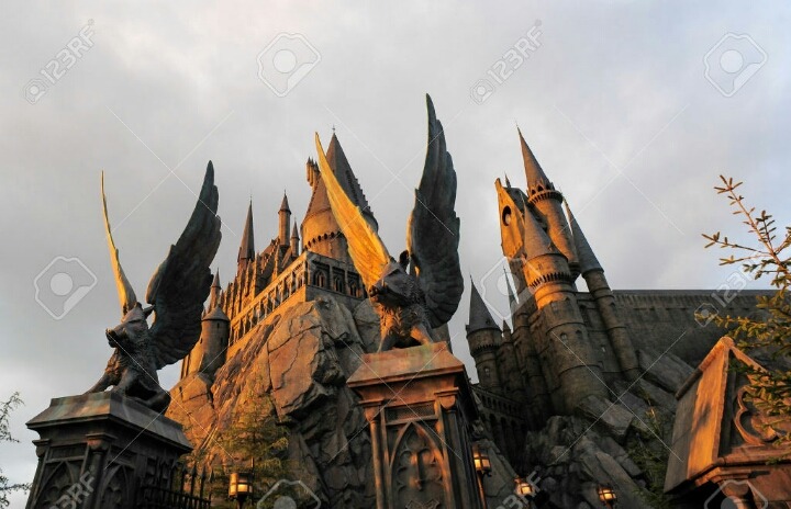 우리나라에도 하나 생겼으면 좋겠음 | 인스티즈