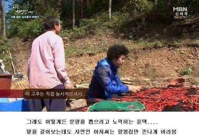 말벌잡는아저씨ㅋㅋㅋㅋㅋㅋㅋㅋ | 인스티즈