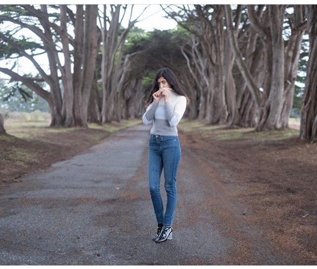 미국 포인트 리예스 나무 터널 | 인스티즈