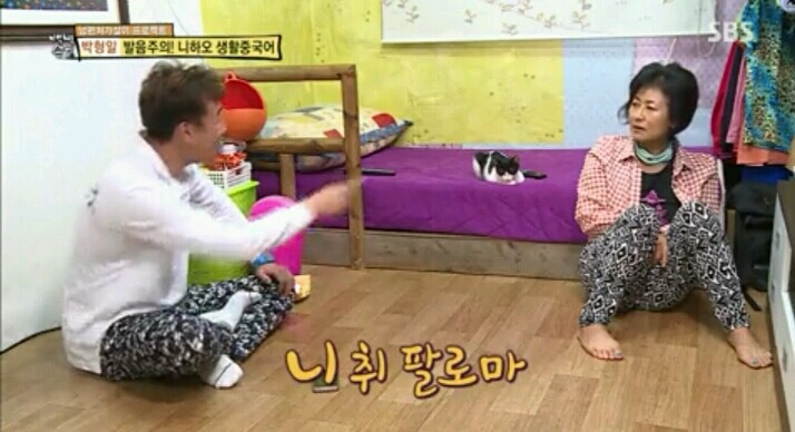 내가 이러려고 고양이됐나? | 인스티즈