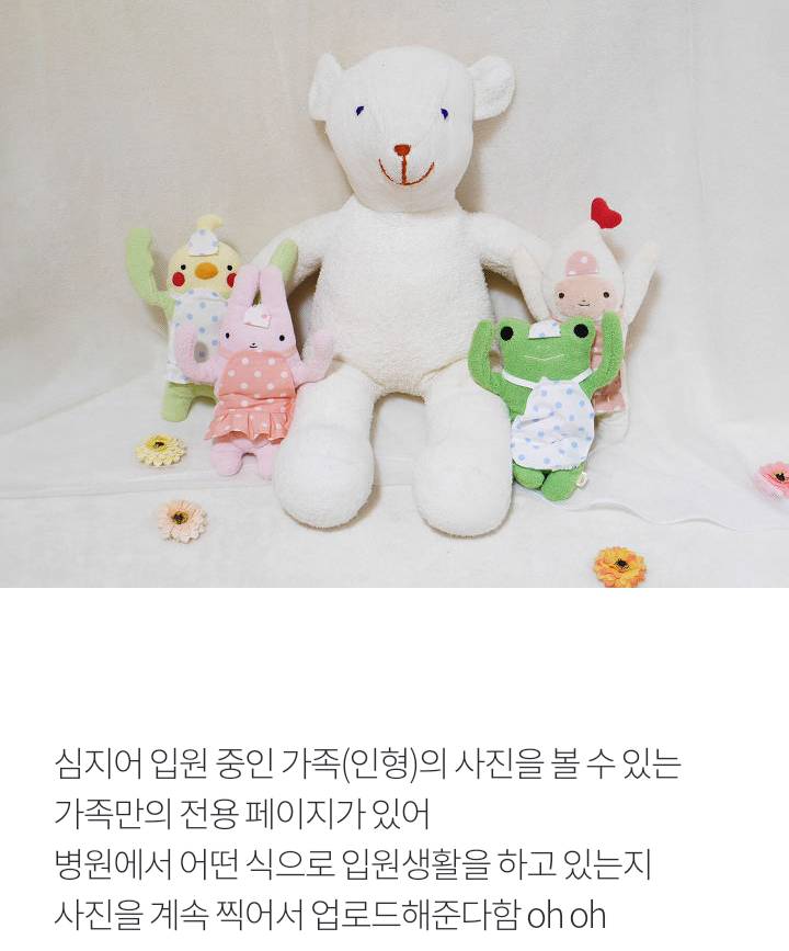 인형을 위한 종합병원 | 인스티즈