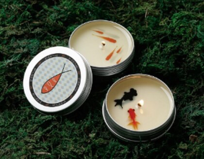 물고기를 품은 소이캔들 | 인스티즈