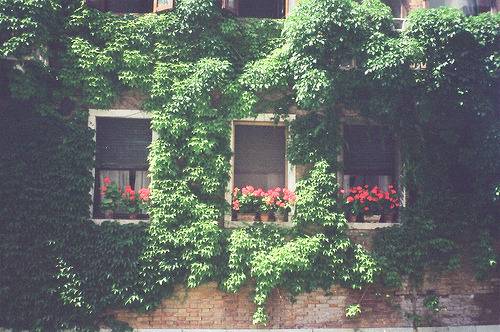  아름 다운 시를 보면 그걸 닮은 삶 하나 낳고 싶었다 | 인스티즈