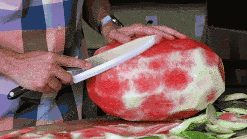 매끈한 수박의 비밀 | 인스티즈