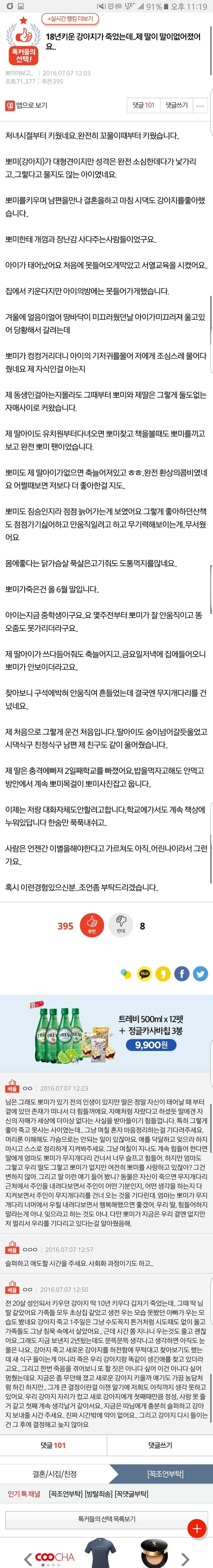 18년키운 강아지가 죽었는데..제 딸이 말이없어졌어요.. | 인스티즈