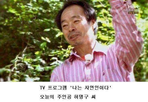 말벌잡는아저씨ㅋㅋㅋㅋㅋㅋㅋㅋ | 인스티즈