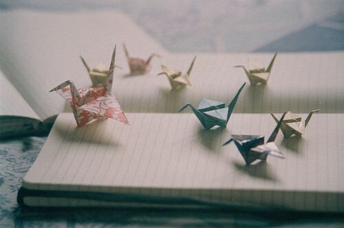  아름 다운 시를 보면 그걸 닮은 삶 하나 낳고 싶었다 | 인스티즈