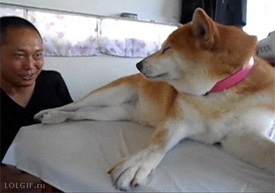 거기까지 | 인스티즈