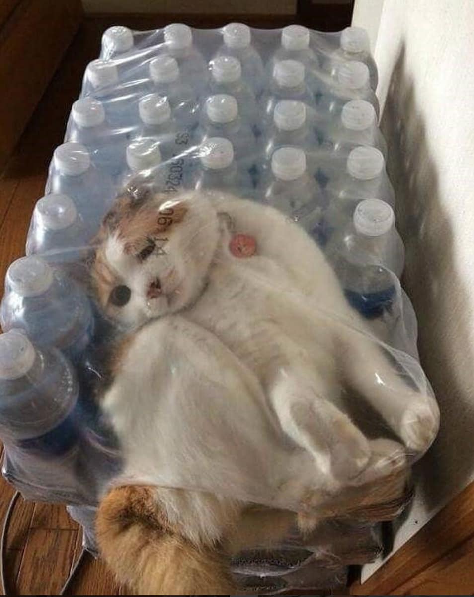 너 거기서 뭐하니? | 인스티즈