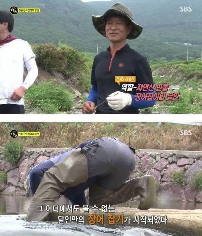 장어의 효과 | 인스티즈