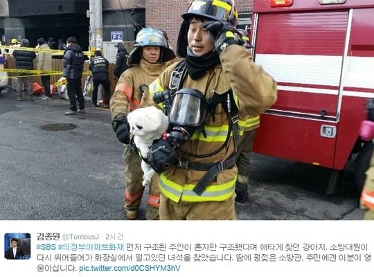 동물 구하는 소방관 | 인스티즈